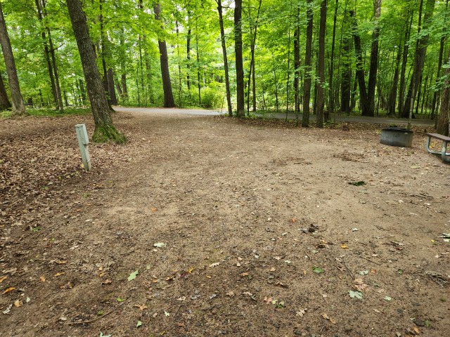 Site 29, photo 2 of 3 · from wisconsin.goingtocamp.com (the park's booking system)