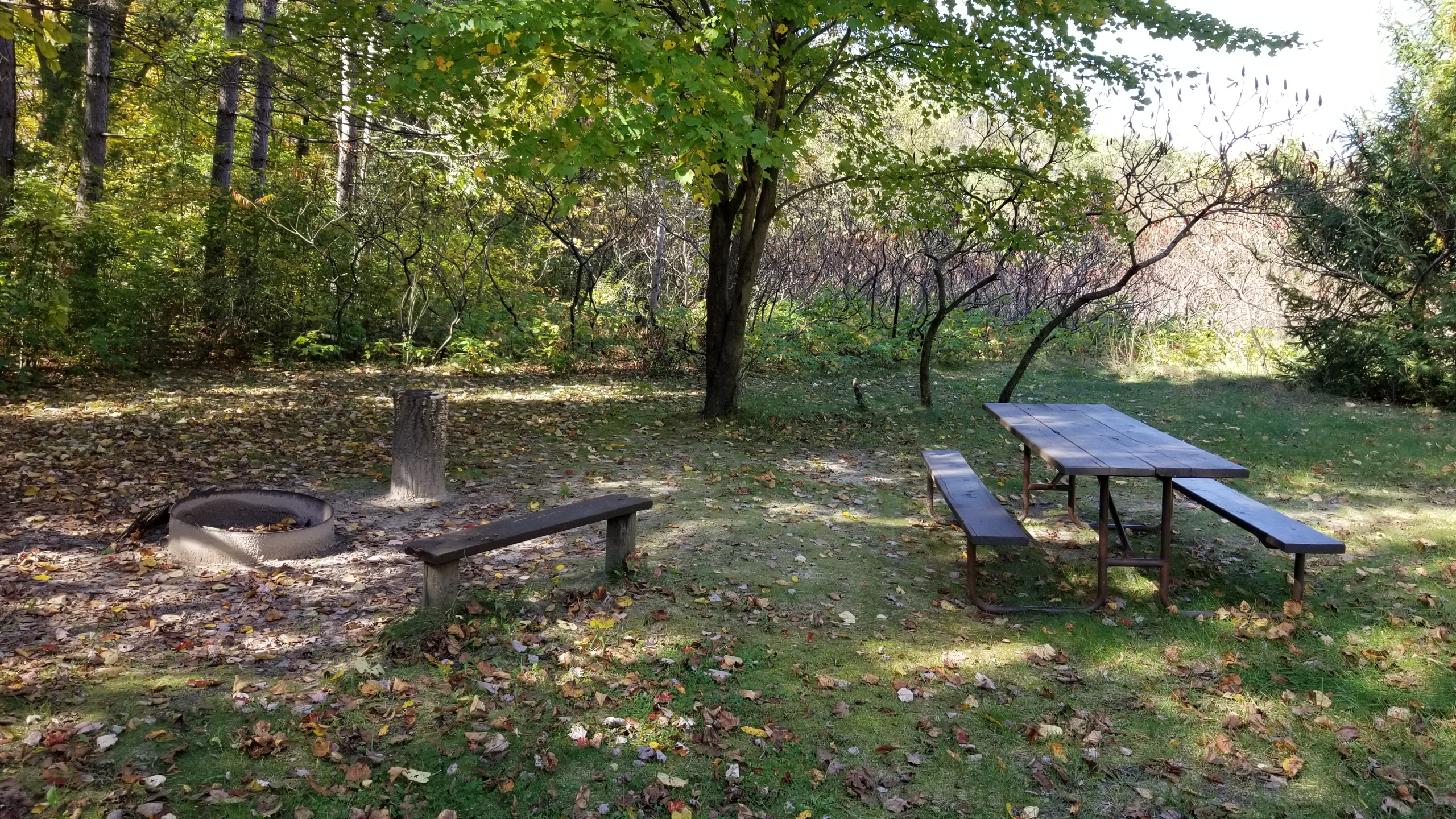 Site 14, photo 3 of 4 · from wisconsin.goingtocamp.com (the park's booking system)