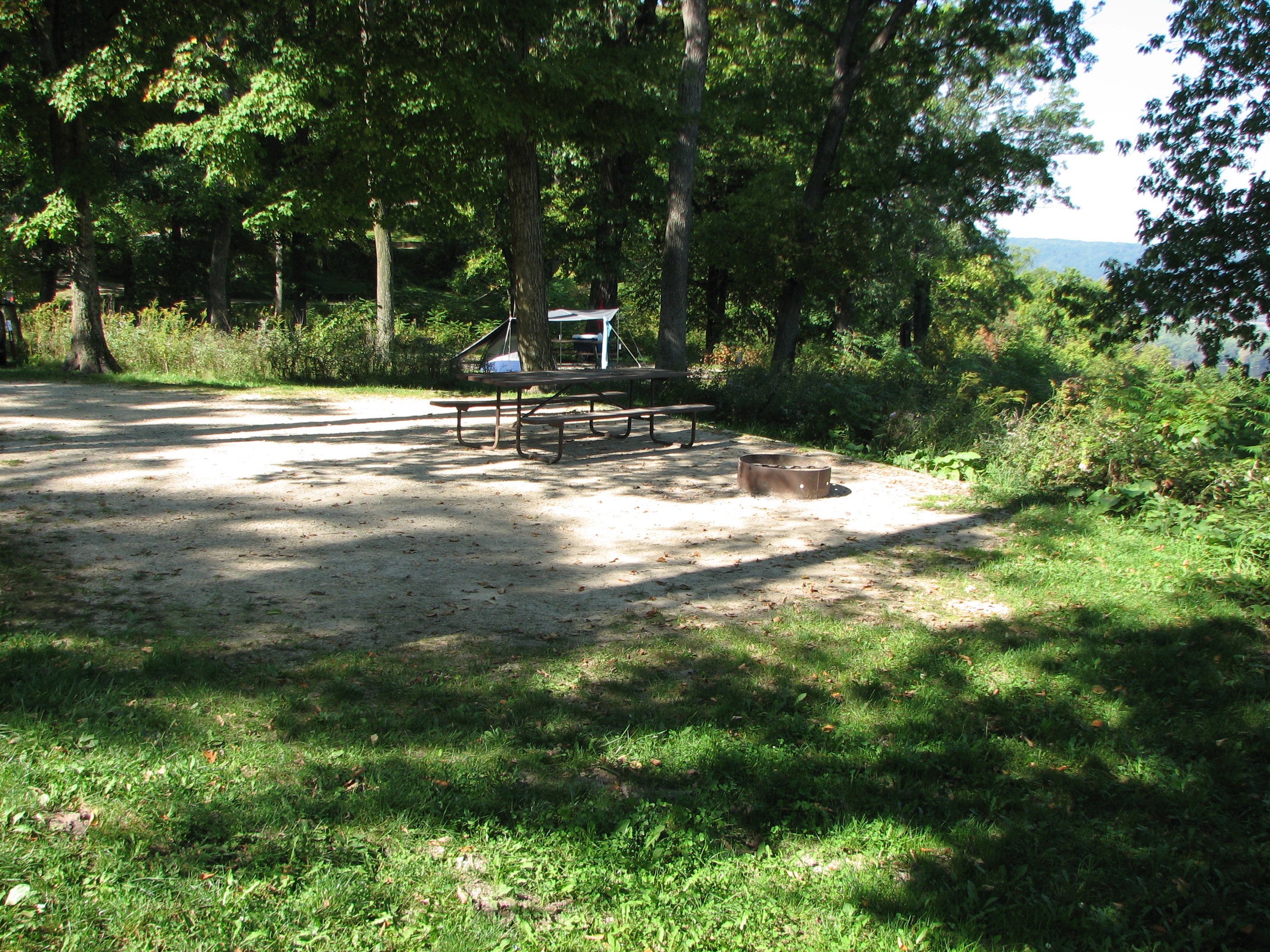 Site 131, photo 2 of 2 · from wisconsin.goingtocamp.com (the park's booking system)
