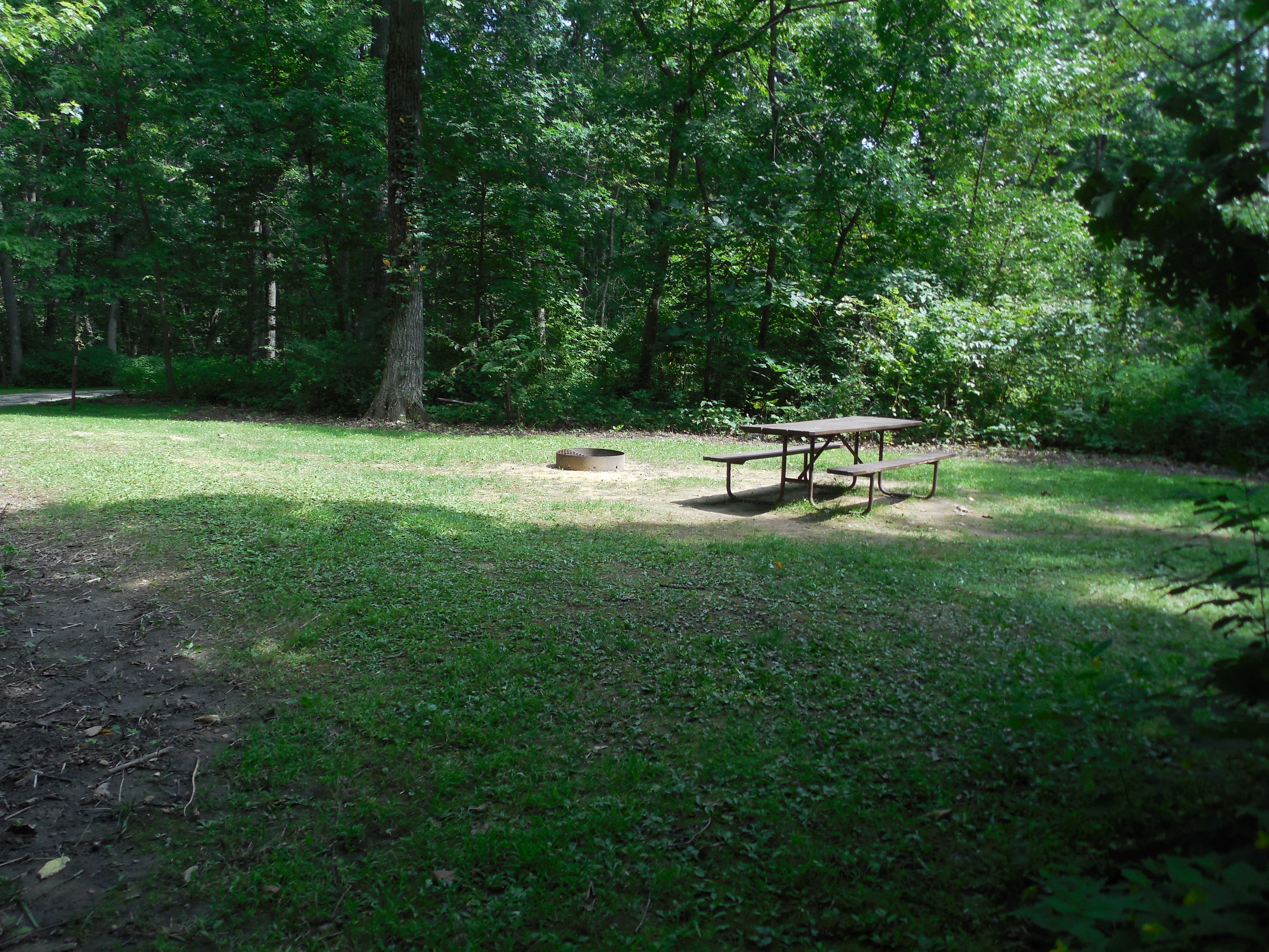 Site 35, photo 3 of 3 · from wisconsin.goingtocamp.com (the park's booking system)