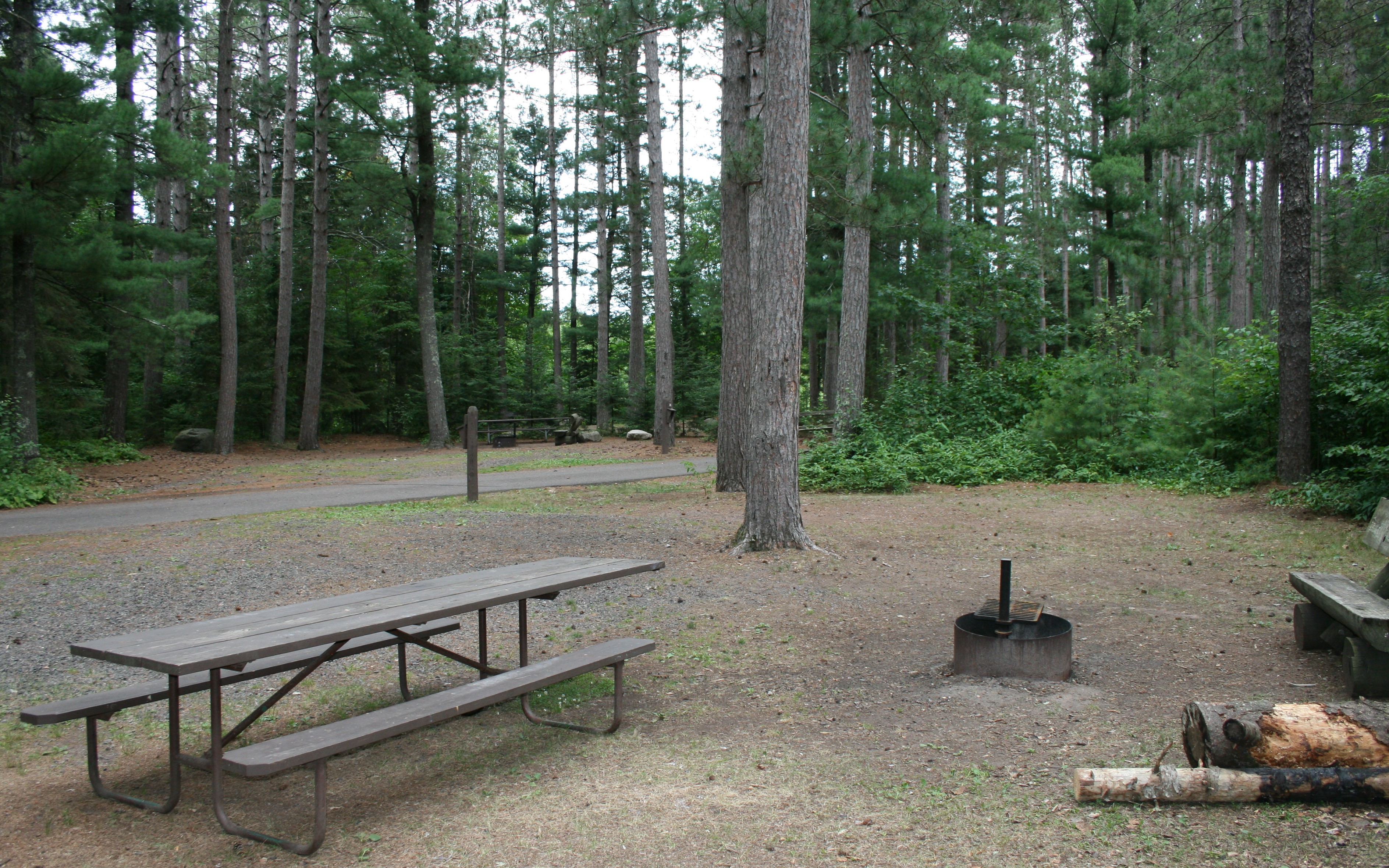 Site 15, photo 2 of 3 · from wisconsin.goingtocamp.com (the park's booking system)