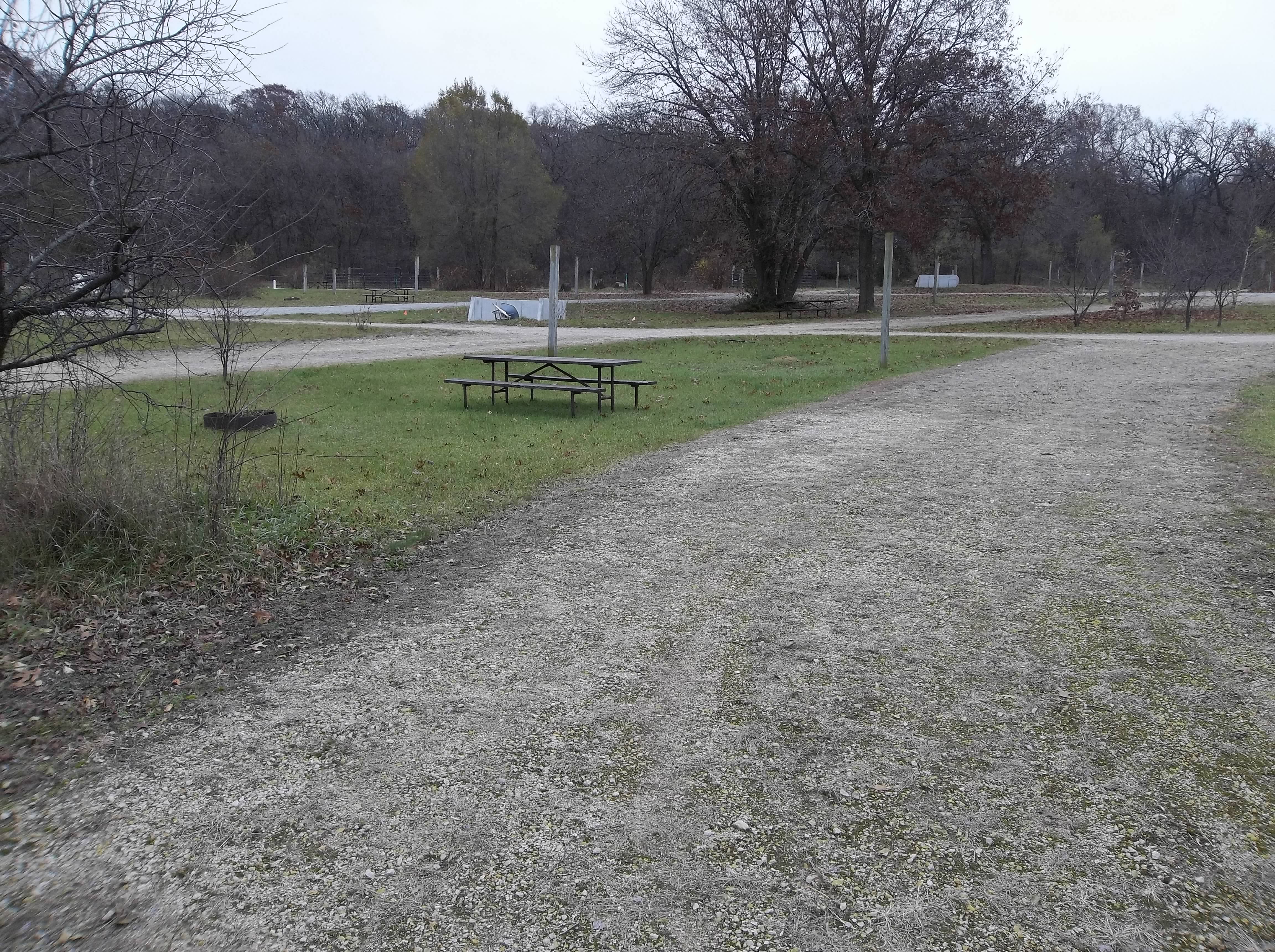 Site 466, photo 3 of 3 · from wisconsin.goingtocamp.com (the park's booking system)