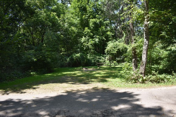 Site 43, photo 2 of 4 · from wisconsin.goingtocamp.com (the park's booking system)