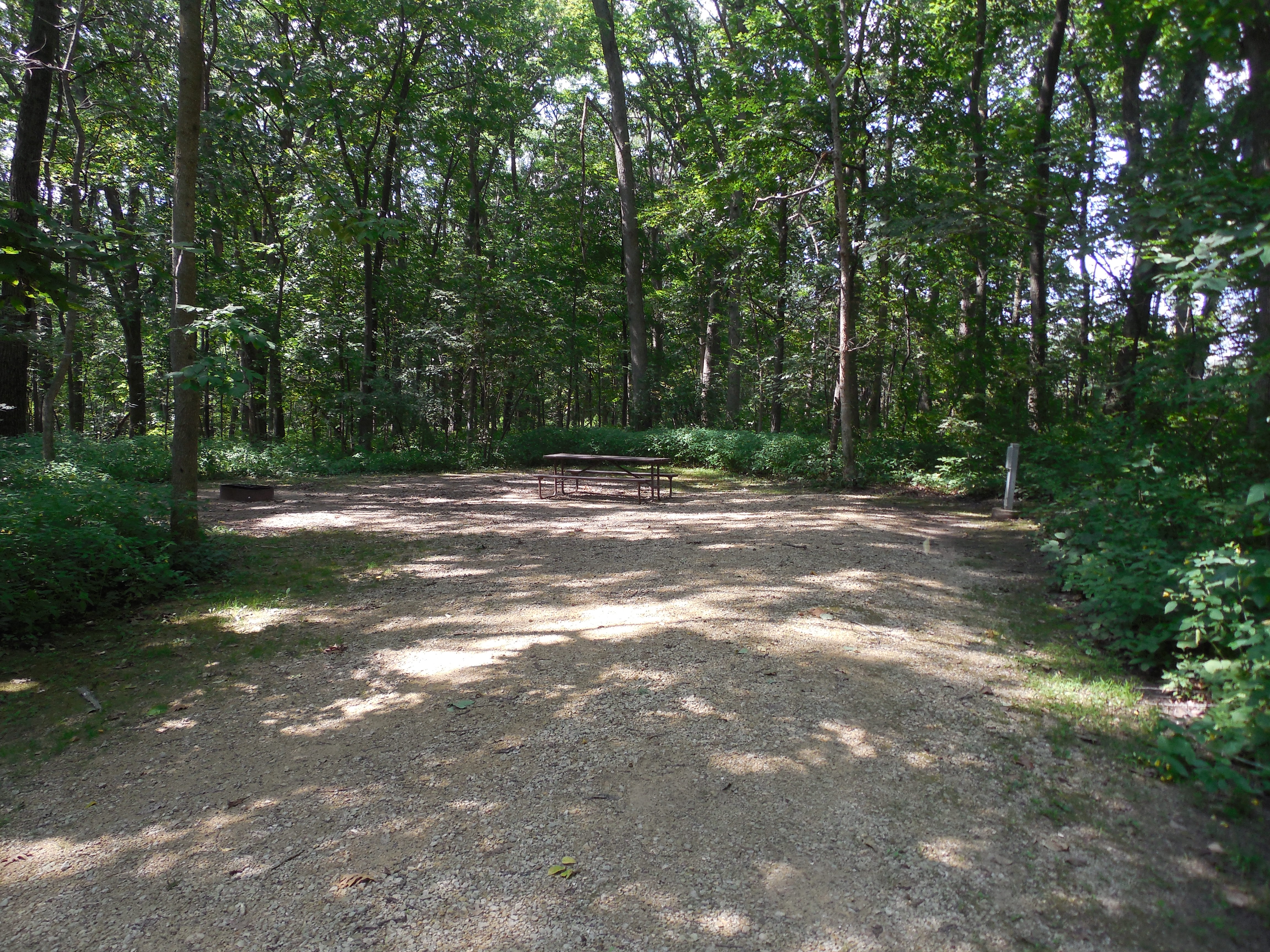Site 29, photo 2 of 3 · from wisconsin.goingtocamp.com (the park's booking system)