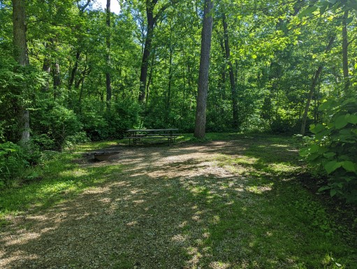 Site 17, photo 3 of 3 · from wisconsin.goingtocamp.com (the park's booking system)