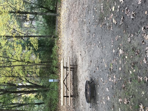Site 81, photo 2 of 3 · from wisconsin.goingtocamp.com (the park's booking system)
