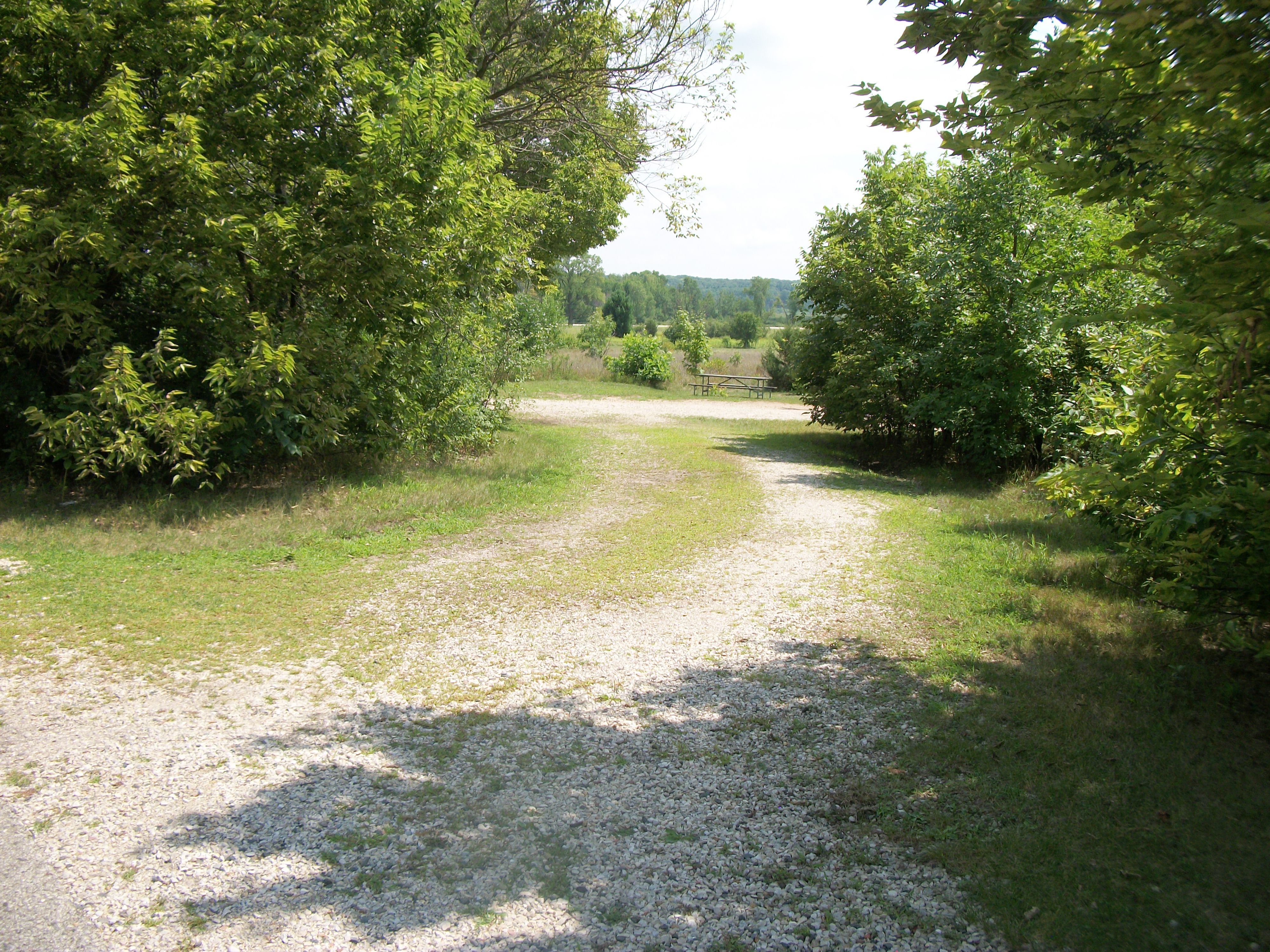 Site 393, photo 2 of 3 · from wisconsin.goingtocamp.com (the park's booking system)