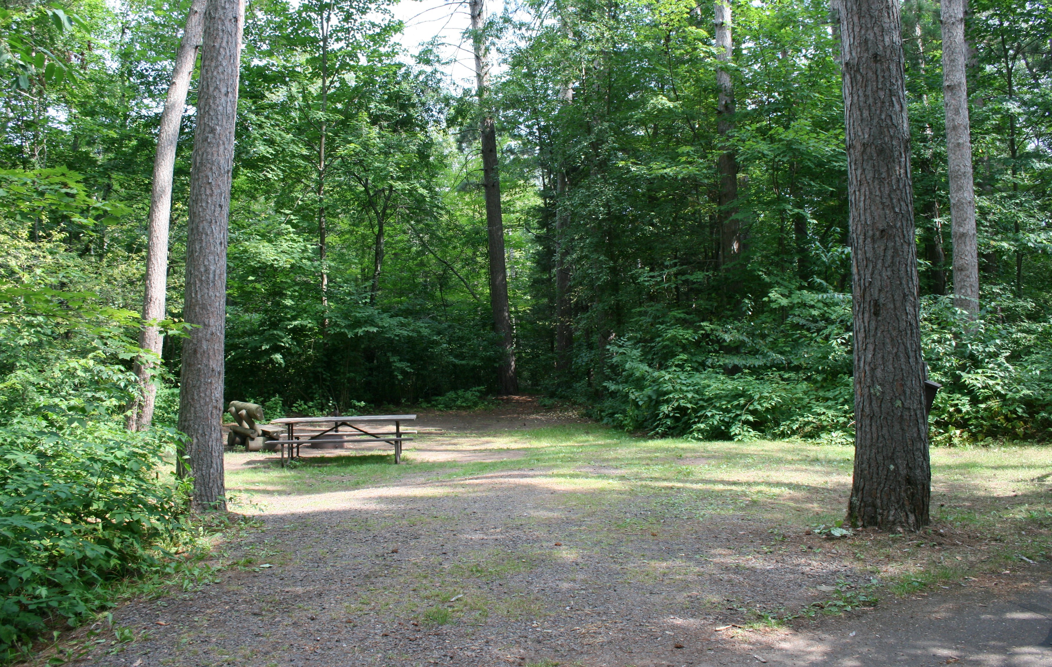 Site 10, photo 2 of 3 · from wisconsin.goingtocamp.com (the park's booking system)