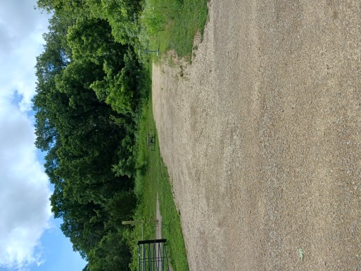 Site 767, photo 2 of 3 · from wisconsin.goingtocamp.com (the park's booking system)