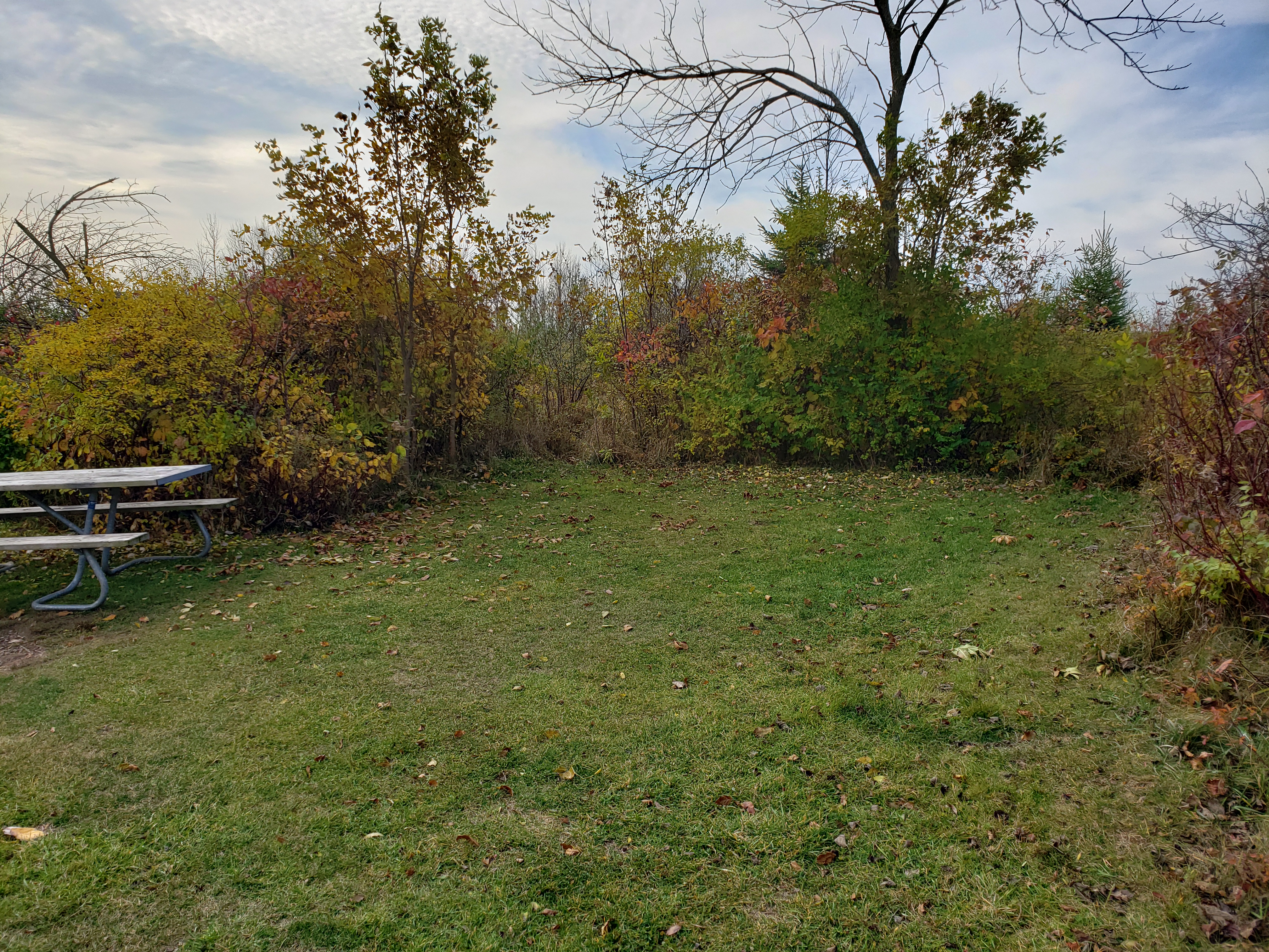 Site W-5, photo 2 of 2 · from wisconsin.goingtocamp.com (the park's booking system)