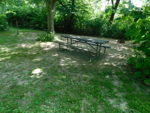 Site 6, photo 2 of 2 · from wisconsin.goingtocamp.com (the park's booking system)