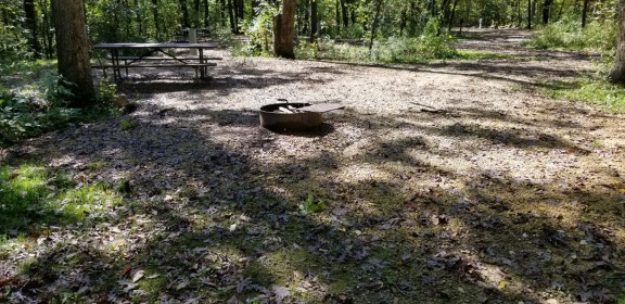 Site 10, photo 2 of 3 · from wisconsin.goingtocamp.com (the park's booking system)