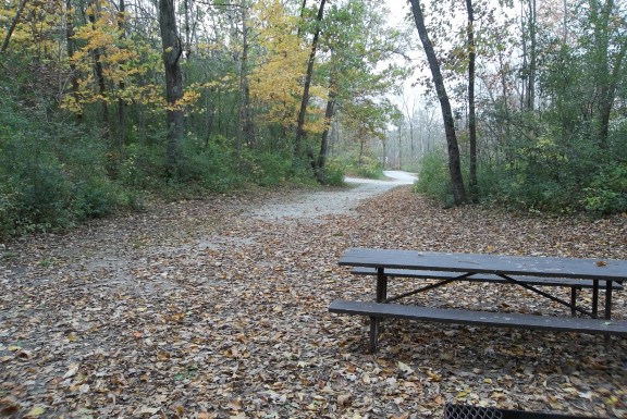 Site 205, photo 3 of 4 · from wisconsin.goingtocamp.com (the park's booking system)