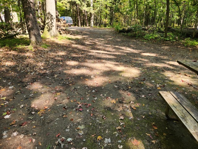 Site 47, photo 2 of 3 · from wisconsin.goingtocamp.com (the park's booking system)