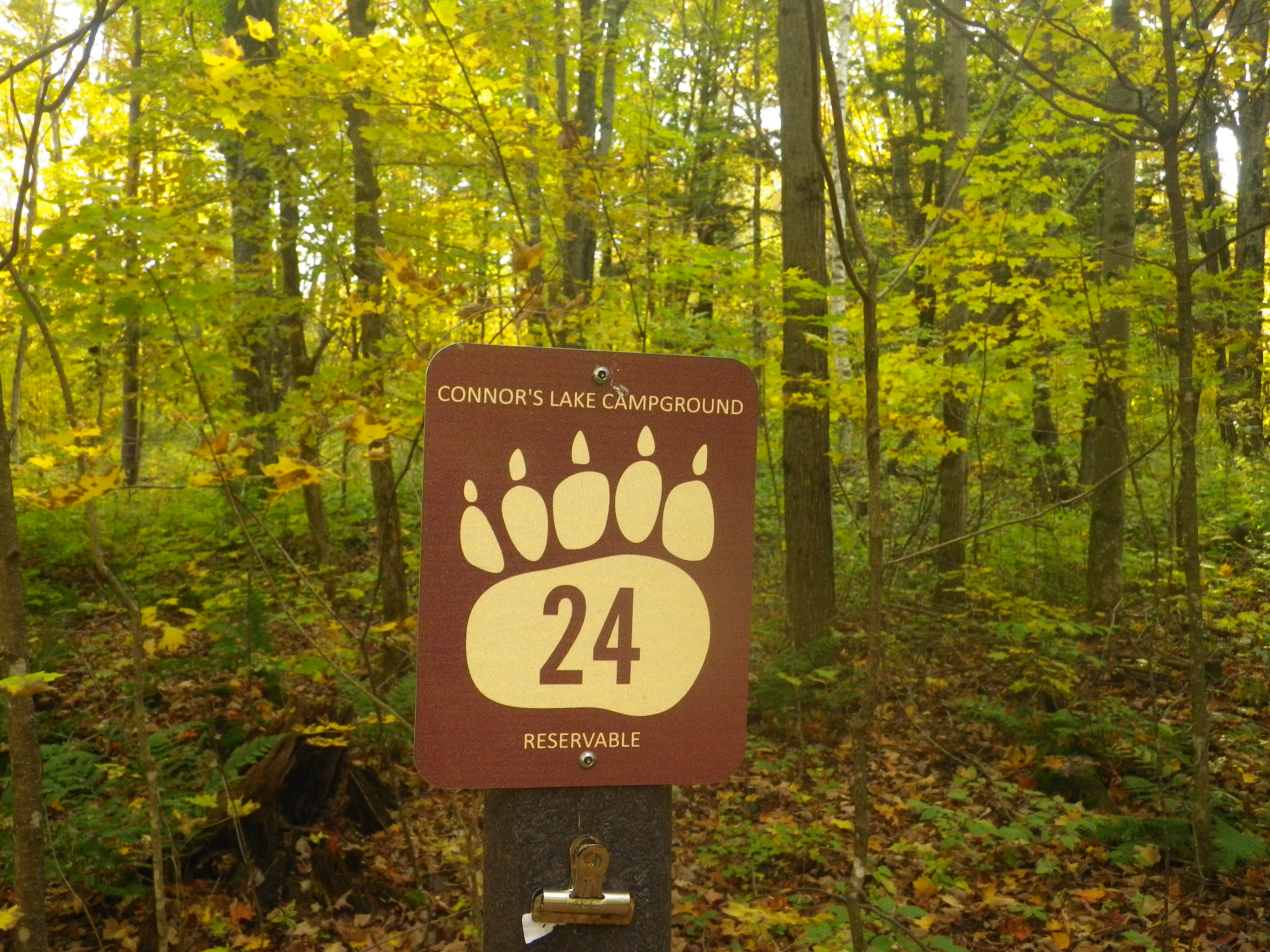 Site 24, photo 2 of 4 · from wisconsin.goingtocamp.com (the park's booking system)