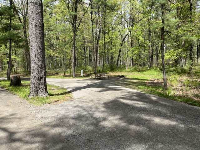 Site 3, photo 2 of 3 · from wisconsin.goingtocamp.com (the park's booking system)