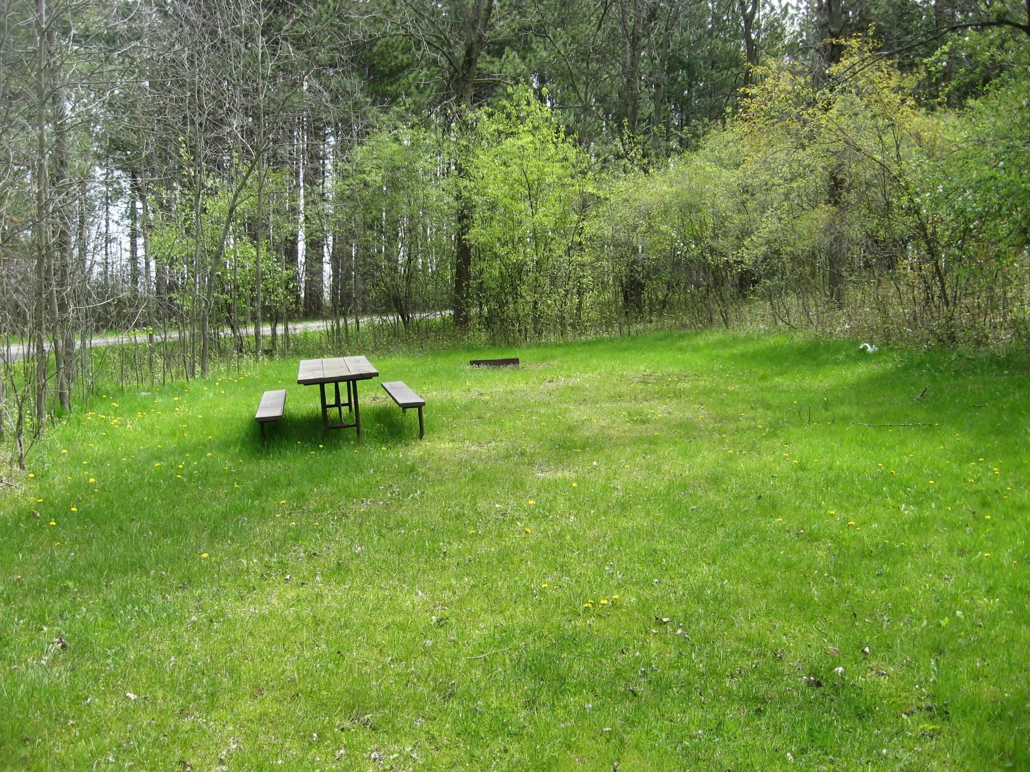 Site 832, photo 2 of 2 · from wisconsin.goingtocamp.com (the park's booking system)