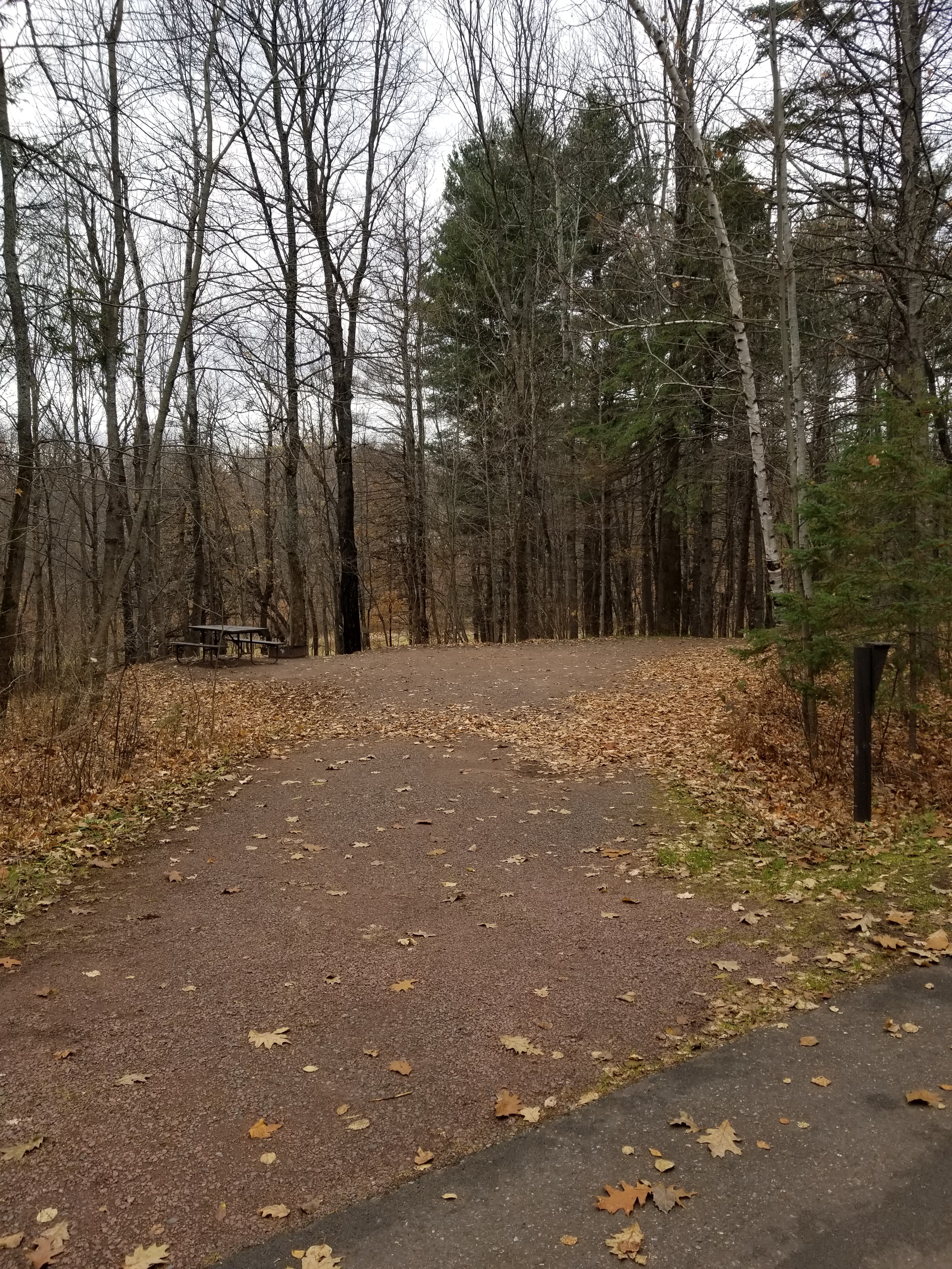 Site 29, photo 2 of 4 · from wisconsin.goingtocamp.com (the park's booking system)
