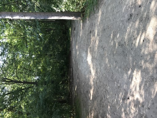 Site 66, photo 2 of 3 · from wisconsin.goingtocamp.com (the park's booking system)