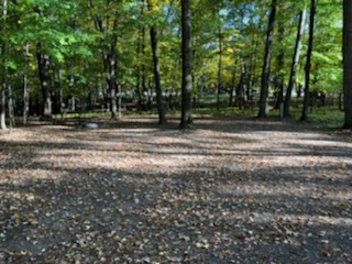 Site 3, photo 2 of 3 · from wisconsin.goingtocamp.com (the park's booking system)