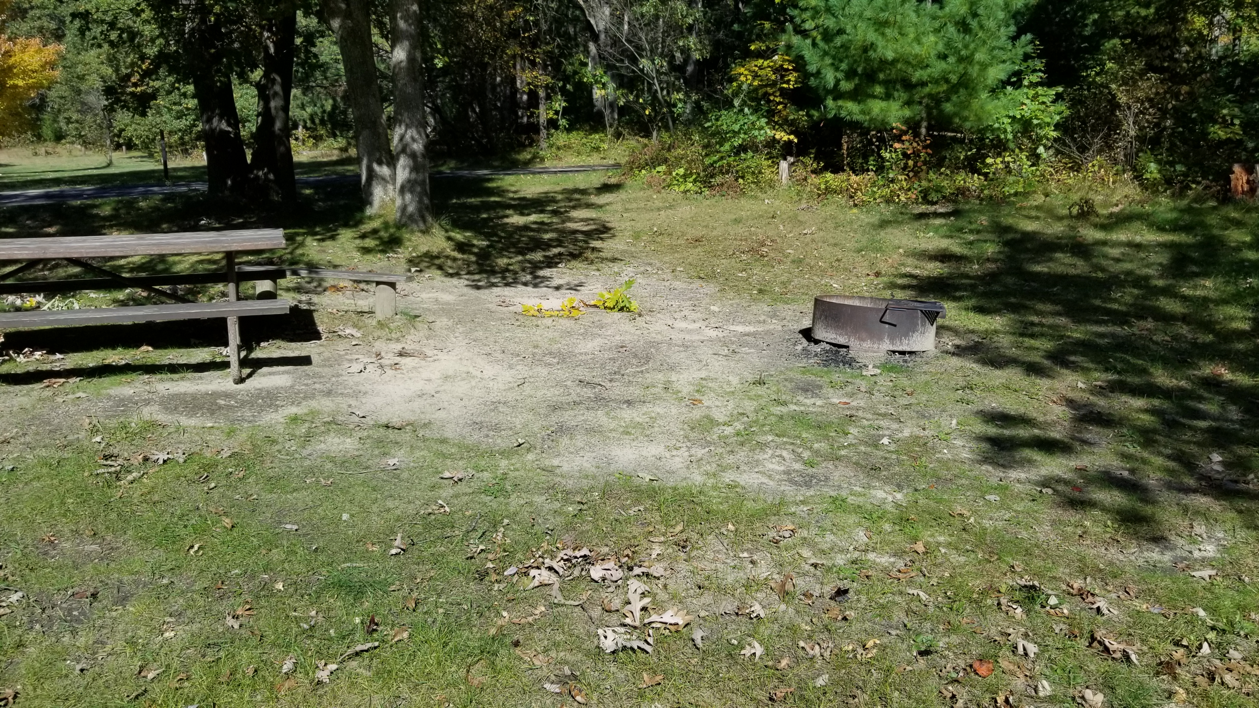 Site 15, photo 3 of 4 · from wisconsin.goingtocamp.com (the park's booking system)