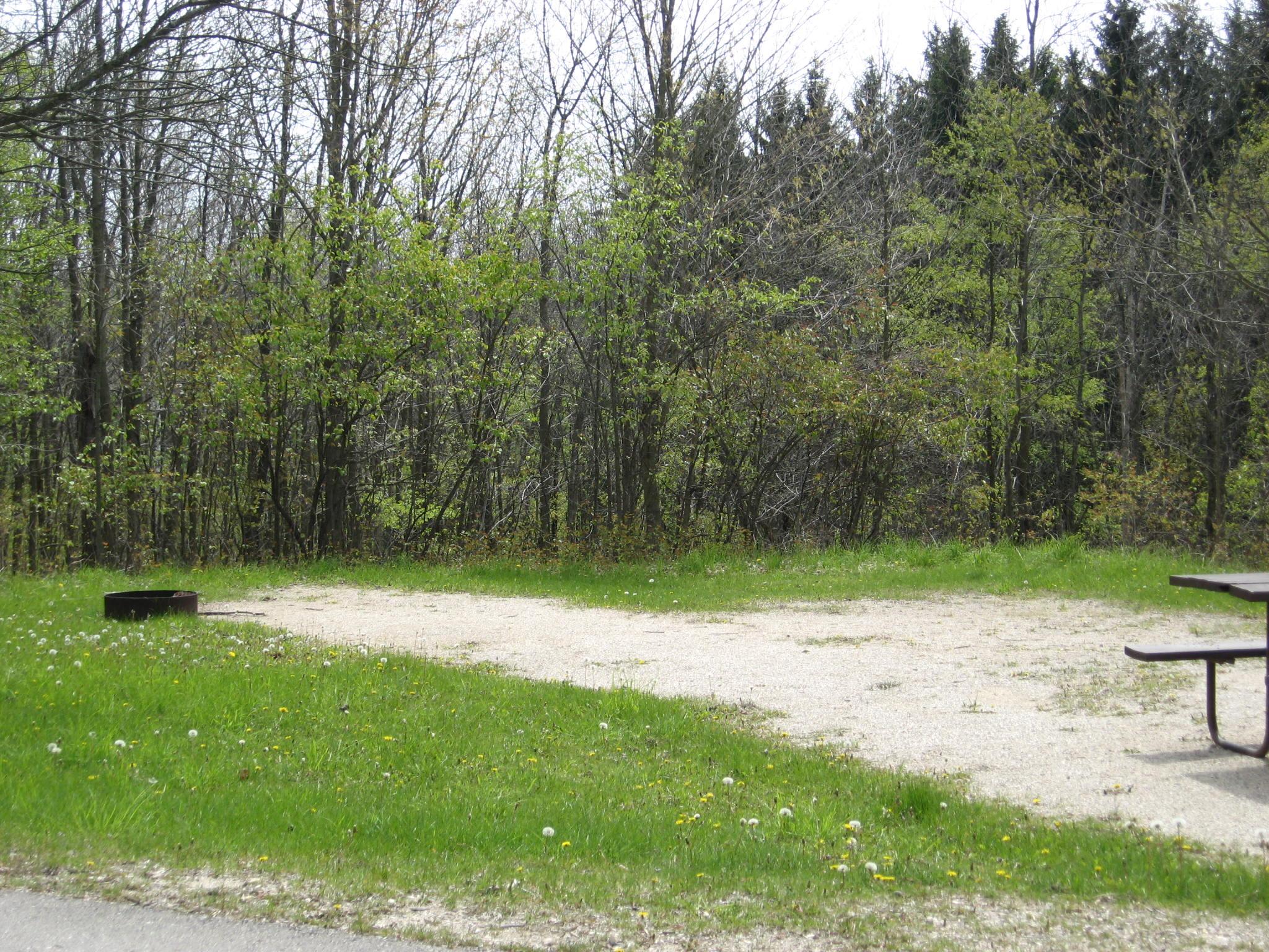 Site 849, photo 2 of 2 · from wisconsin.goingtocamp.com (the park's booking system)