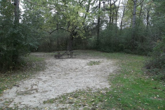 Site 311, photo 2 of 4 · from wisconsin.goingtocamp.com (the park's booking system)