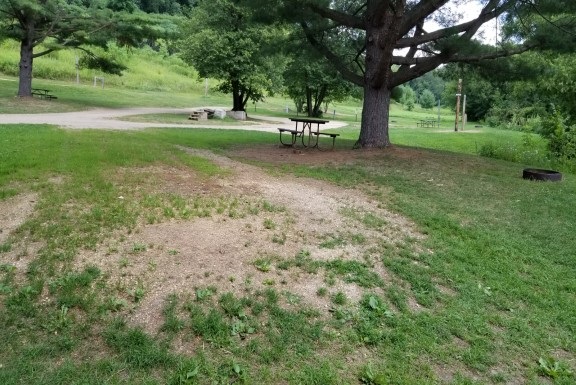 Site 220, photo 2 of 3 · from wisconsin.goingtocamp.com (the park's booking system)