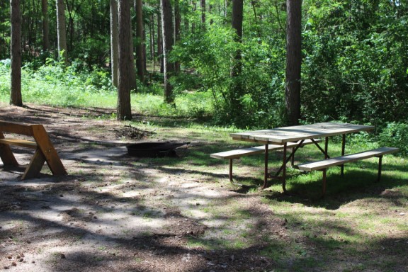 Site 48, photo 2 of 3 · from wisconsin.goingtocamp.com (the park's booking system)