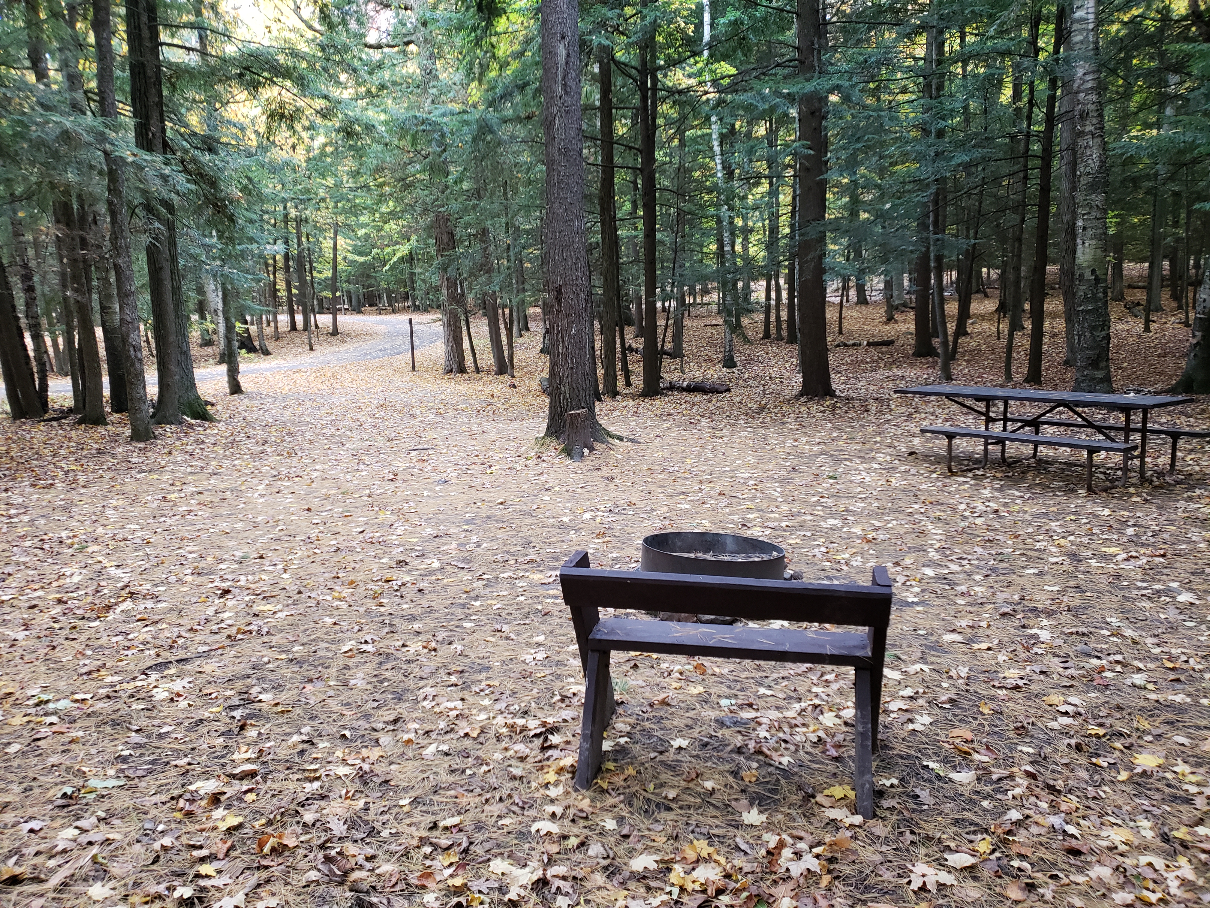 Site 104, photo 3 of 3 · from wisconsin.goingtocamp.com (the park's booking system)