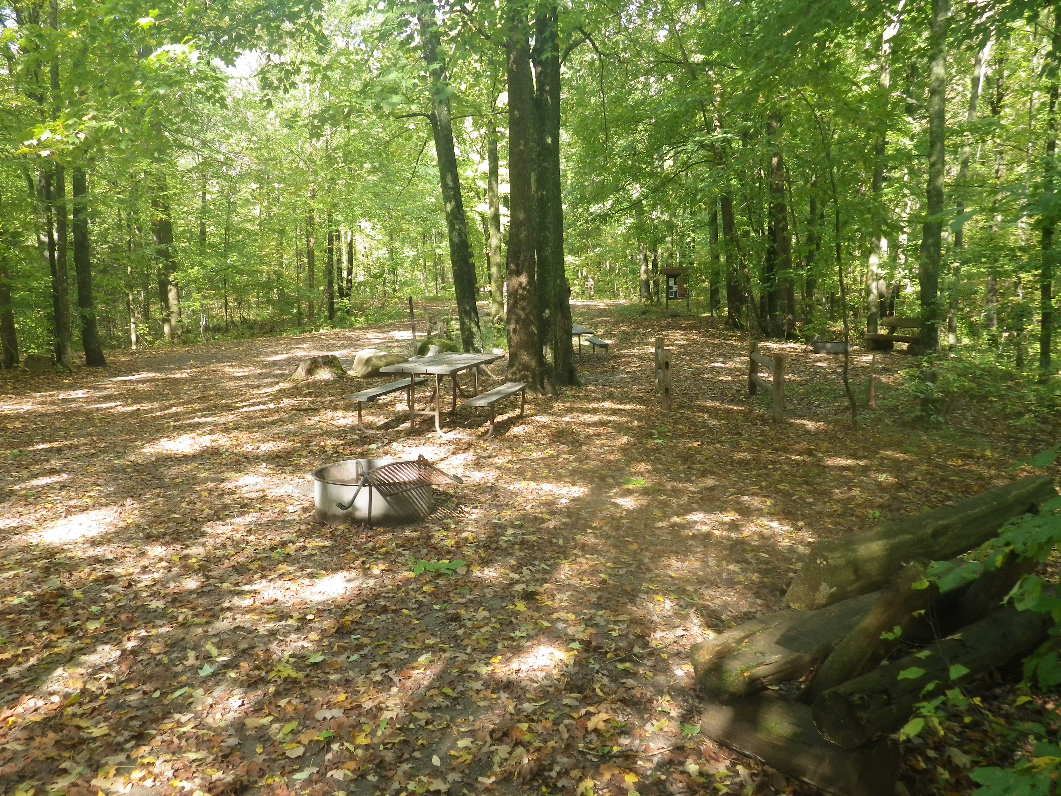 Site 105, photo 3 of 3 · from wisconsin.goingtocamp.com (the park's booking system)