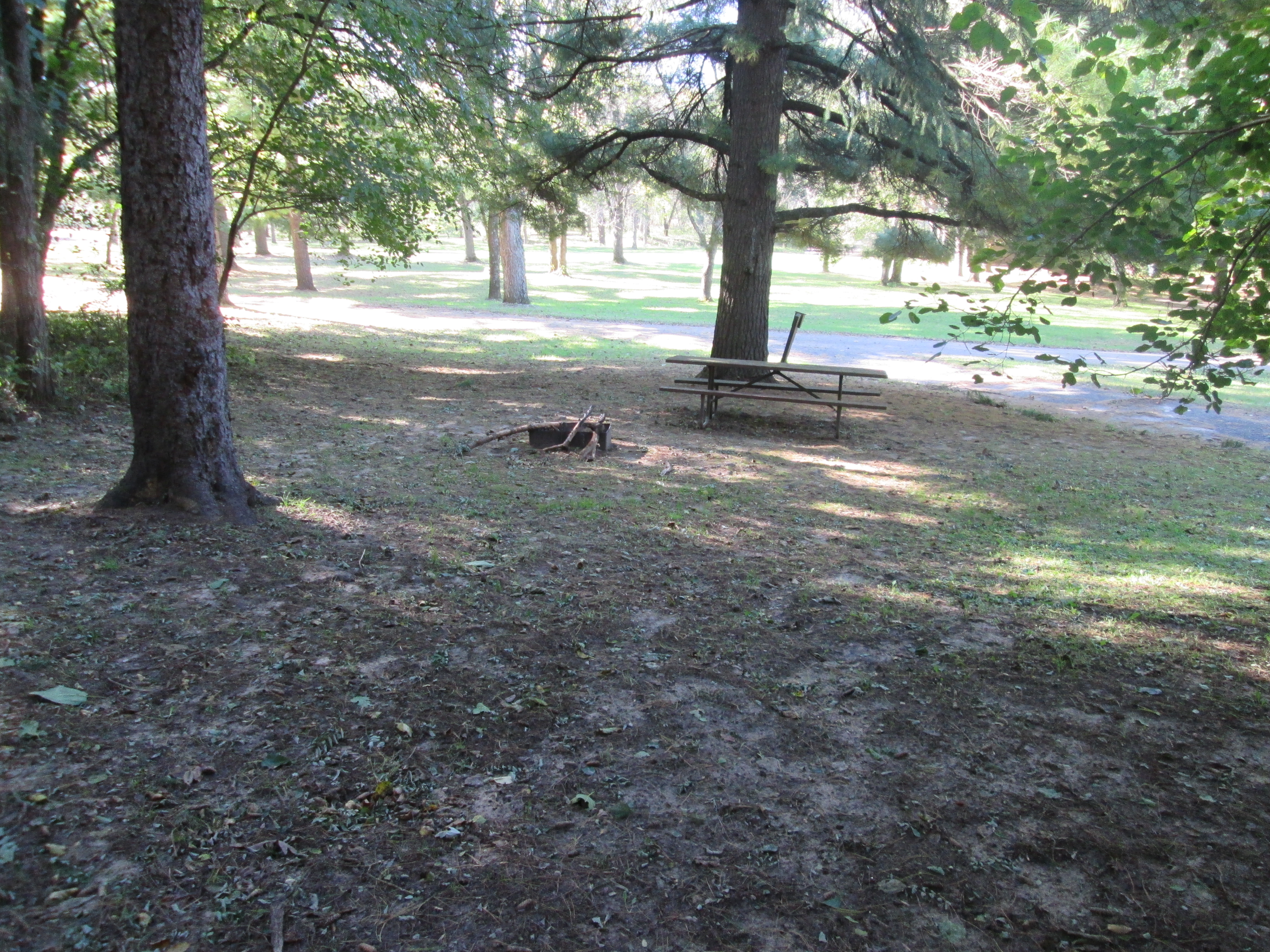 Site 9, photo 2 of 3 · from wisconsin.goingtocamp.com (the park's booking system)