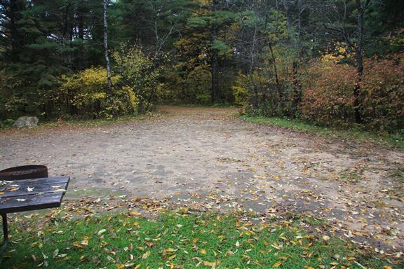 Site 499, photo 2 of 3 · from wisconsin.goingtocamp.com (the park's booking system)