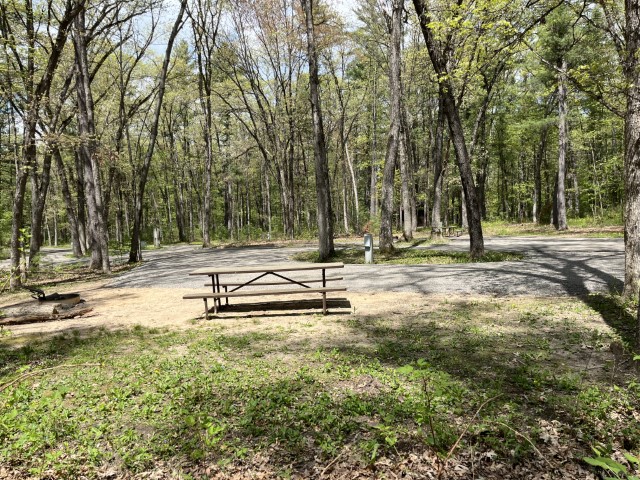 Site 10, photo 3 of 3 · from wisconsin.goingtocamp.com (the park's booking system)