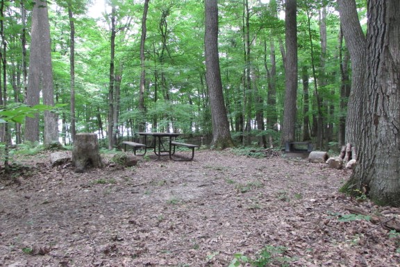 Site 9, photo 3 of 4 · from wisconsin.goingtocamp.com (the park's booking system)