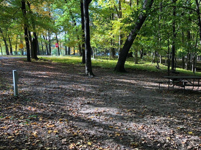 Site 11, photo 2 of 3 · from wisconsin.goingtocamp.com (the park's booking system)