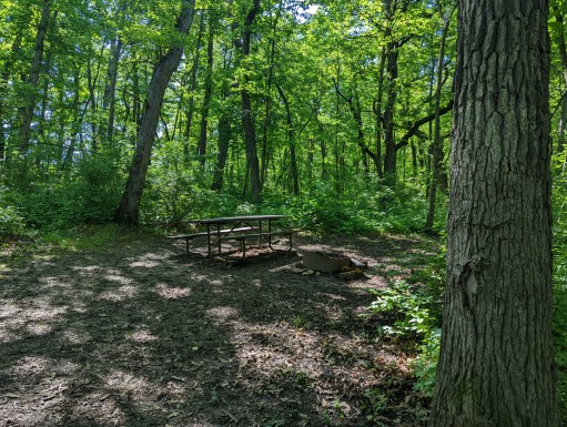 Site 28, photo 3 of 3 · from wisconsin.goingtocamp.com (the park's booking system)