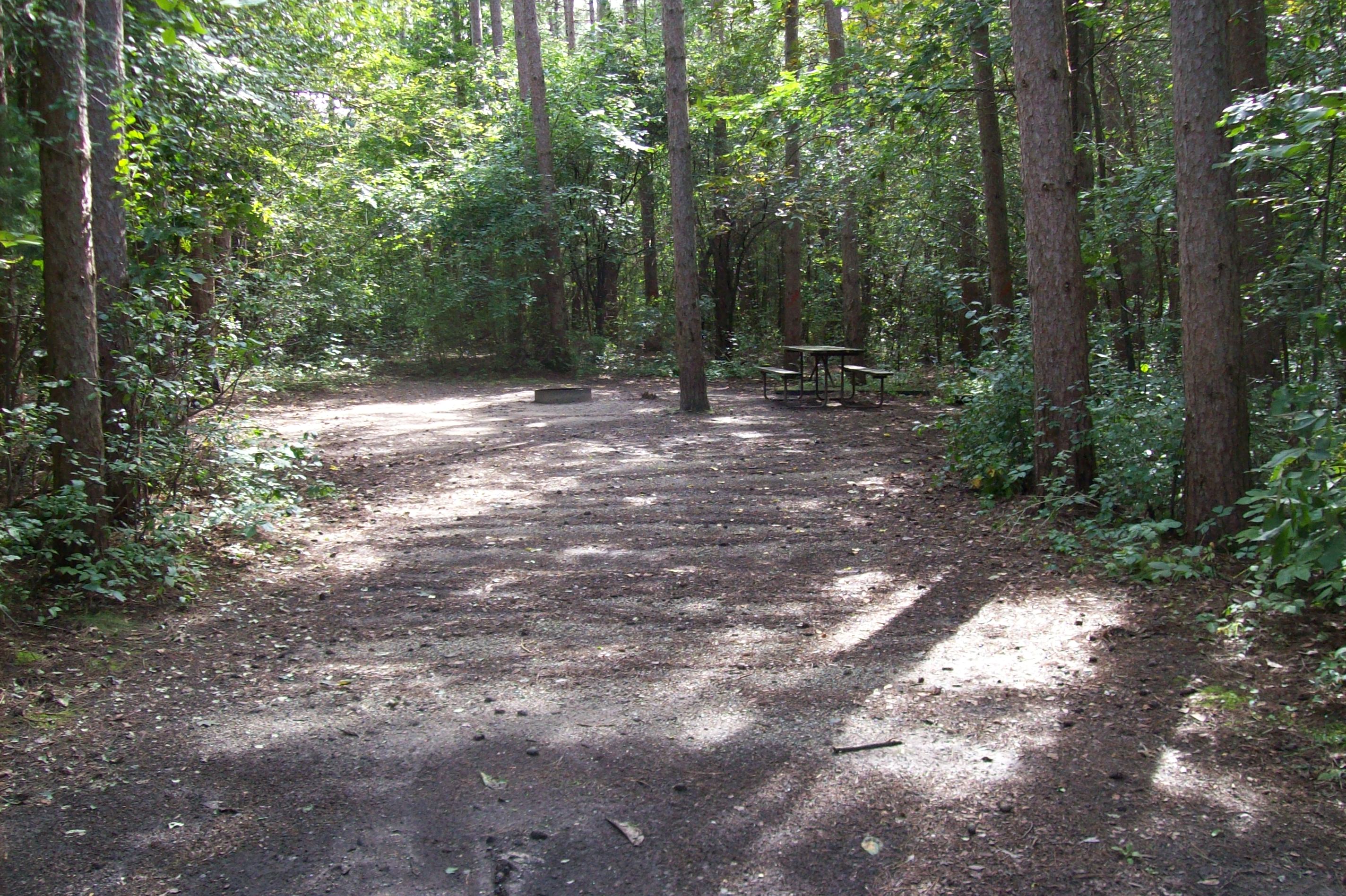 Site 282, photo 2 of 3 · from wisconsin.goingtocamp.com (the park's booking system)