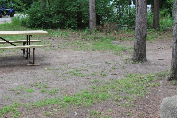 Site 67, photo 2 of 3 · from wisconsin.goingtocamp.com (the park's booking system)