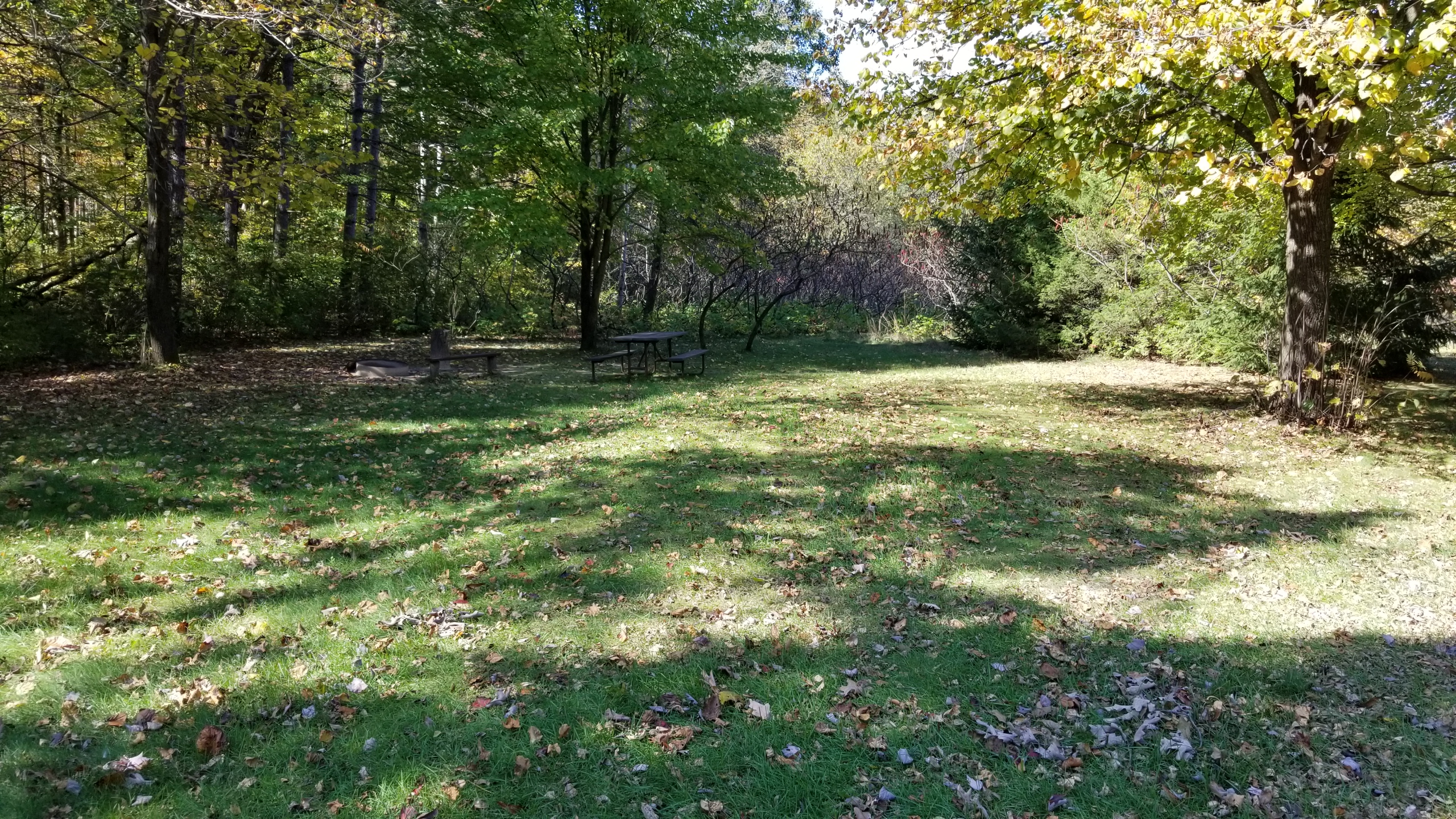 Site 14, photo 2 of 4 · from wisconsin.goingtocamp.com (the park's booking system)