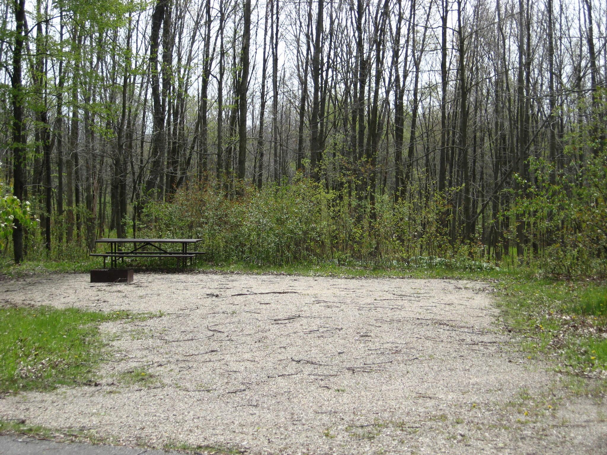 Site 846, photo 2 of 2 · from wisconsin.goingtocamp.com (the park's booking system)