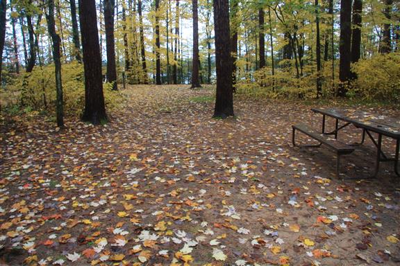Site 426, photo 2 of 3 · from wisconsin.goingtocamp.com (the park's booking system)