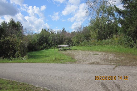 Site 445, photo 3 of 3 · from wisconsin.goingtocamp.com (the park's booking system)