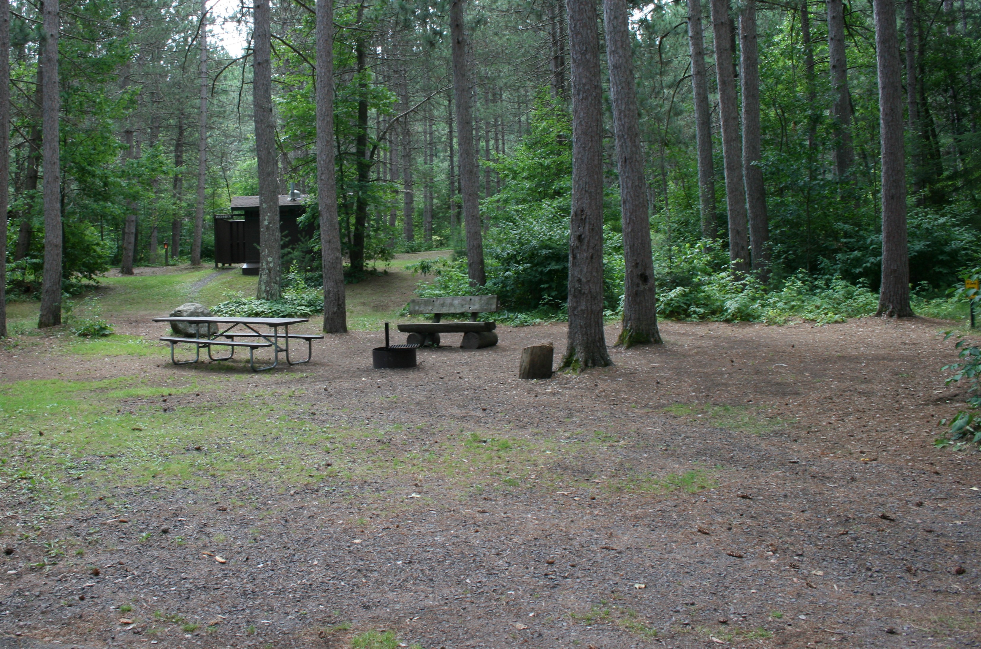 Site 11, photo 2 of 3 · from wisconsin.goingtocamp.com (the park's booking system)