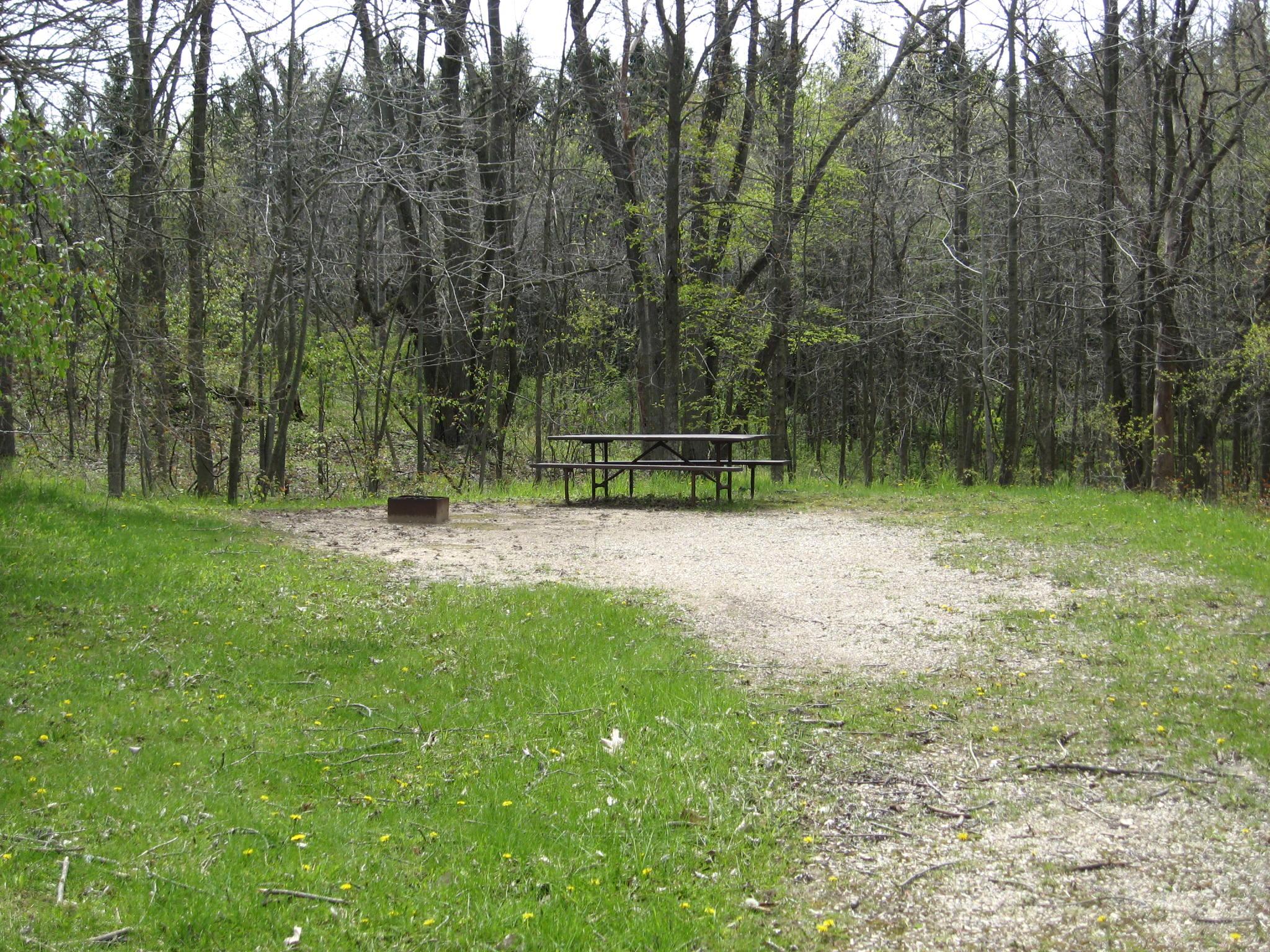 Site 852, photo 2 of 2 · from wisconsin.goingtocamp.com (the park's booking system)