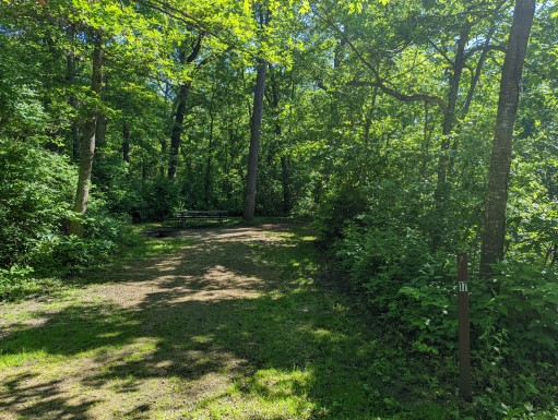 Site 17, photo 2 of 3 · from wisconsin.goingtocamp.com (the park's booking system)