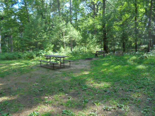 Site 28, photo 2 of 4 · from wisconsin.goingtocamp.com (the park's booking system)