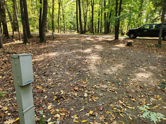 Site 41, photo 2 of 3 · from wisconsin.goingtocamp.com (the park's booking system)