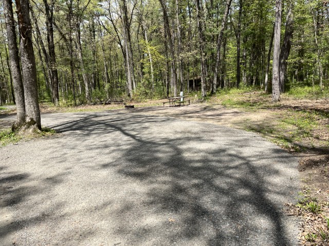Site 9, photo 2 of 3 · from wisconsin.goingtocamp.com (the park's booking system)