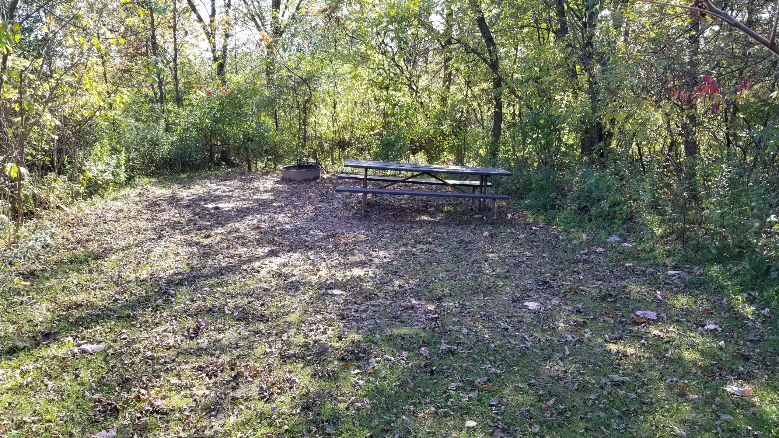 Site 115, photo 2 of 3 · from wisconsin.goingtocamp.com (the park's booking system)